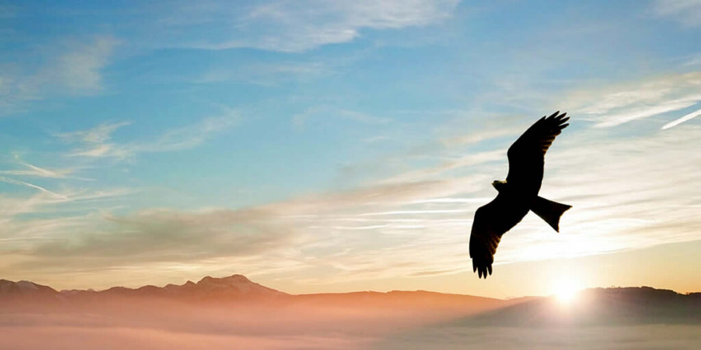 A Gathering of Eagles