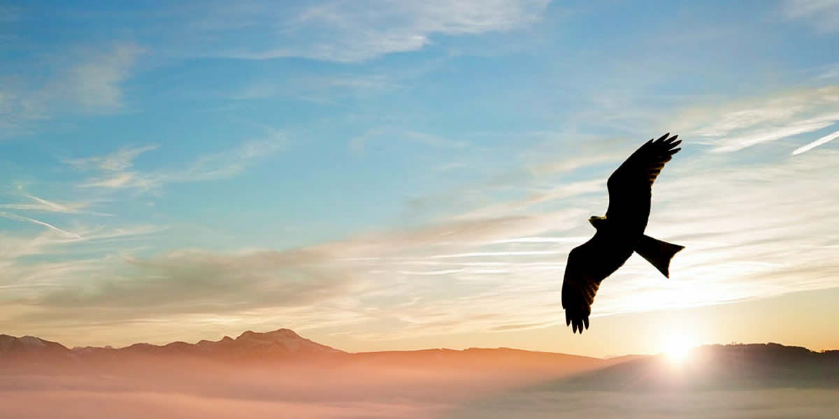 A Gathering of Eagles
